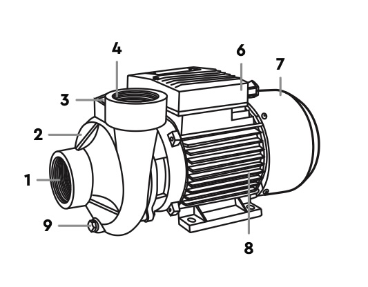 Устройство центробежных насосов Aquatica 2DKa20 фото