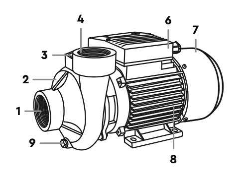 Устройство центробежных насосов Wetron 2DK20 фото